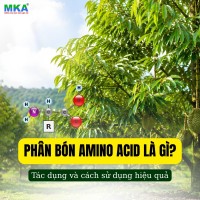 Phân bón amino acid là gì