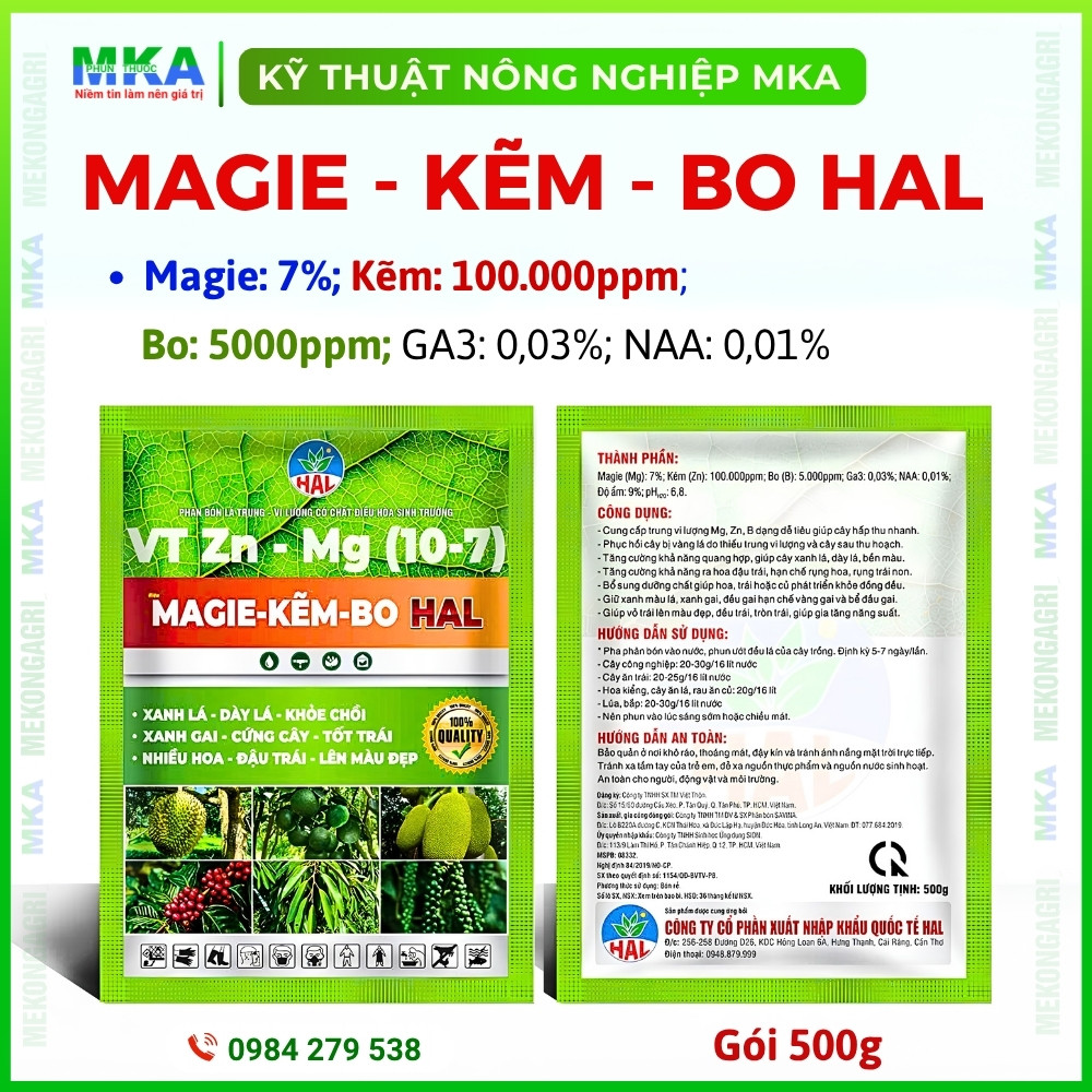 Magie kẽm bo HAL