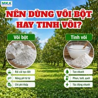 Nen-dung-voi-bot-hay-tinh-voi