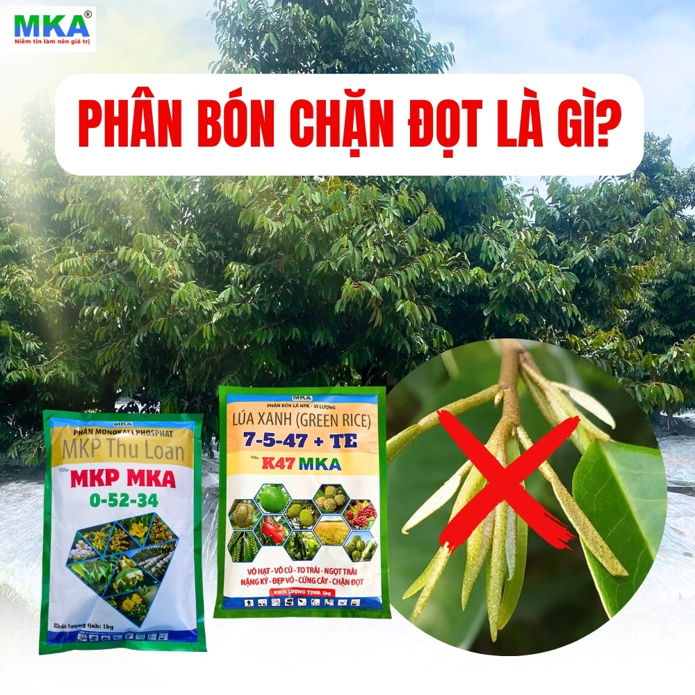 phan-bon-chan-dot-mkp-k47-kali-cao