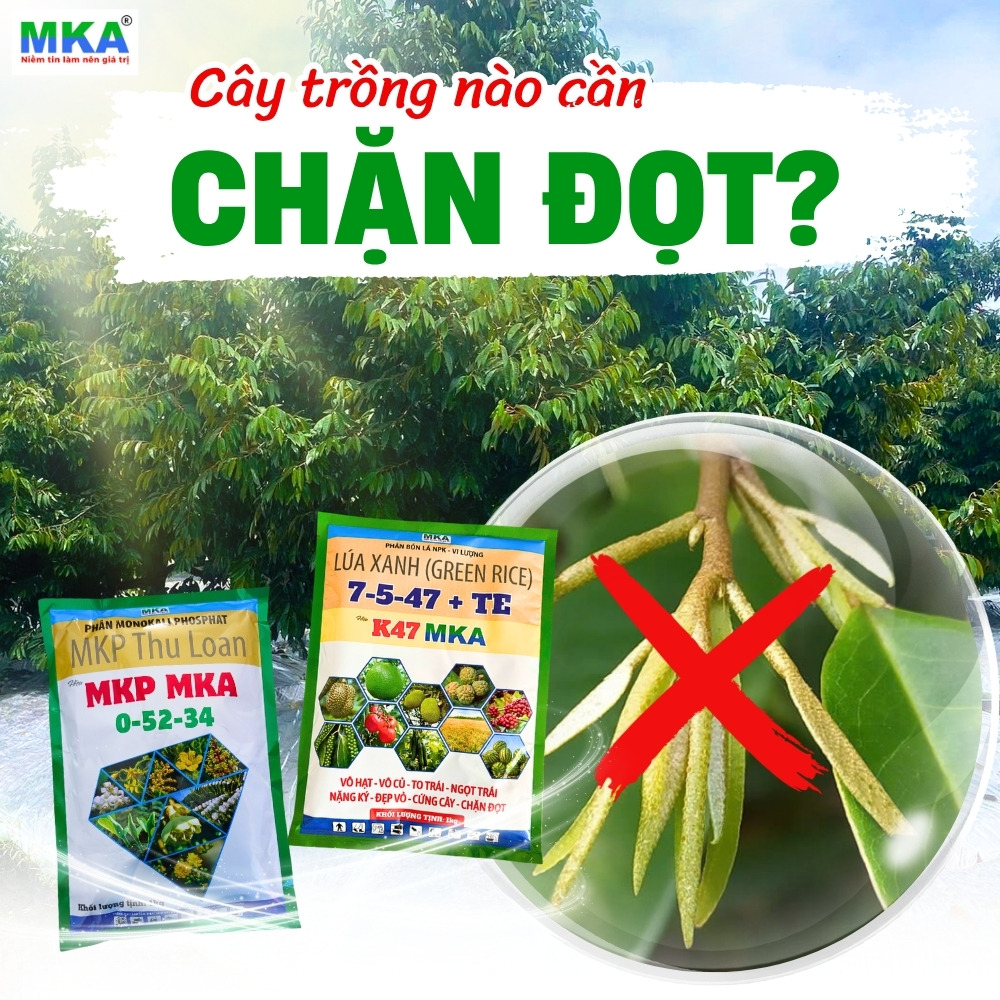 phan-bon-chan-dot-mkp-k47-kali-cao