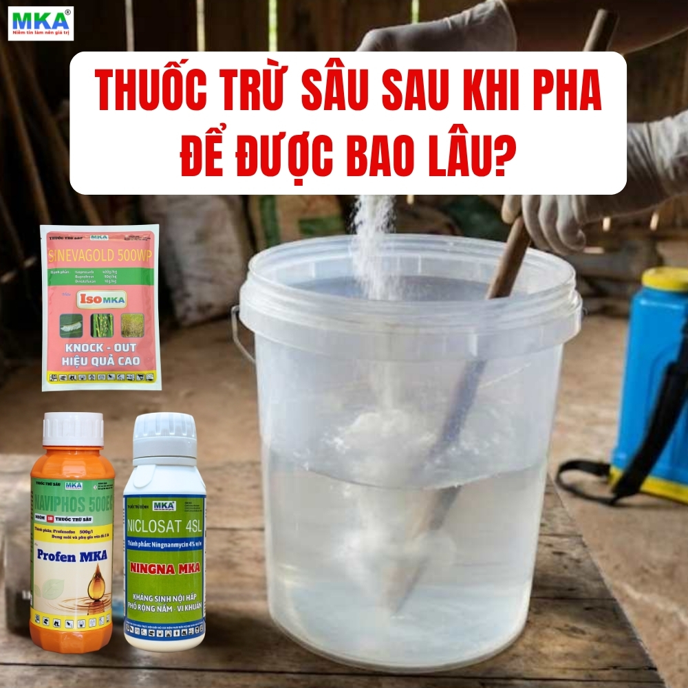 thuoc-tru-sau-sau-khi-pha-de-duoc-bao-lau