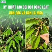 ky-thuat-tao-coi-dong-loat