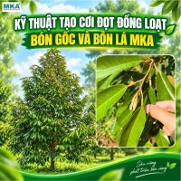 ky-thuat-tao-coi-dong-loat