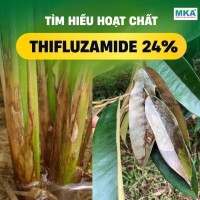 Hoạt chất thifluzamide