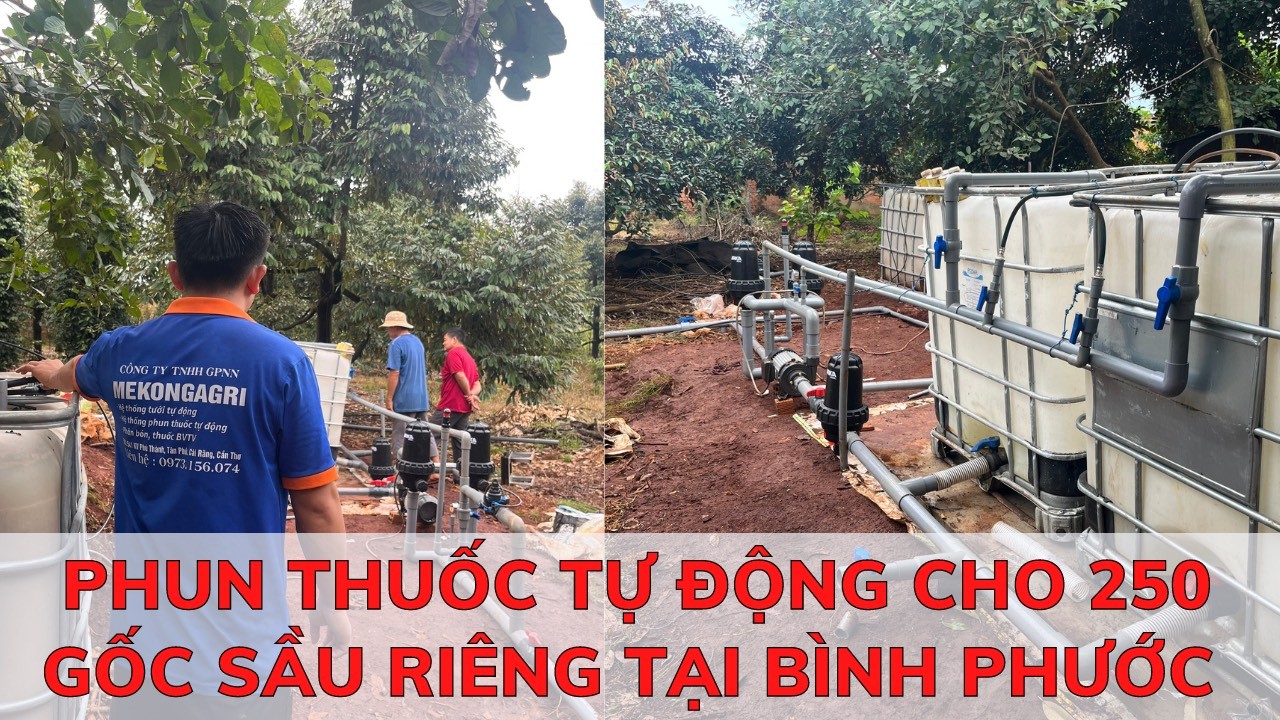 Lắp đặt hệ thống phun thuốc tự động