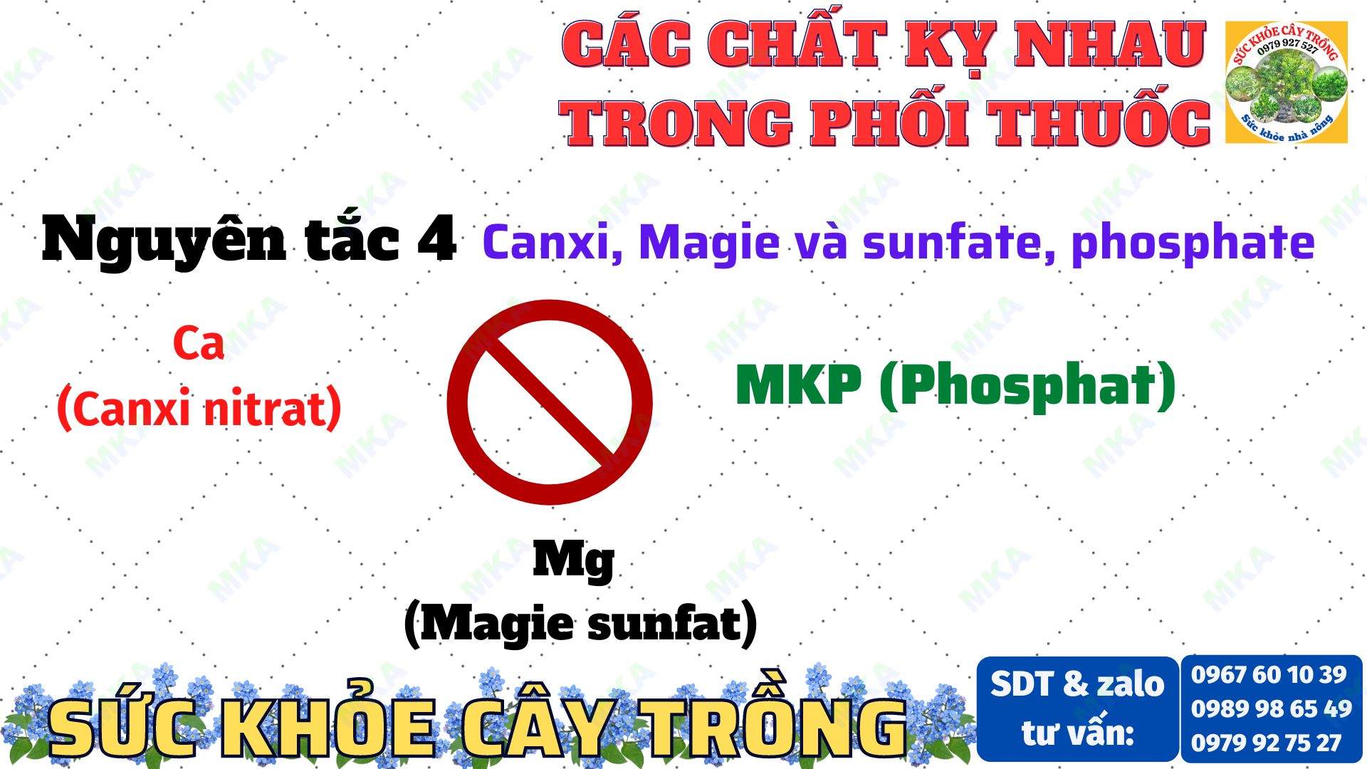 5 nguyên tắc về chất kỵ nhau trong phối thuốc quản lý dịch hại cho cây trồng đơn giản và dễ nhớ