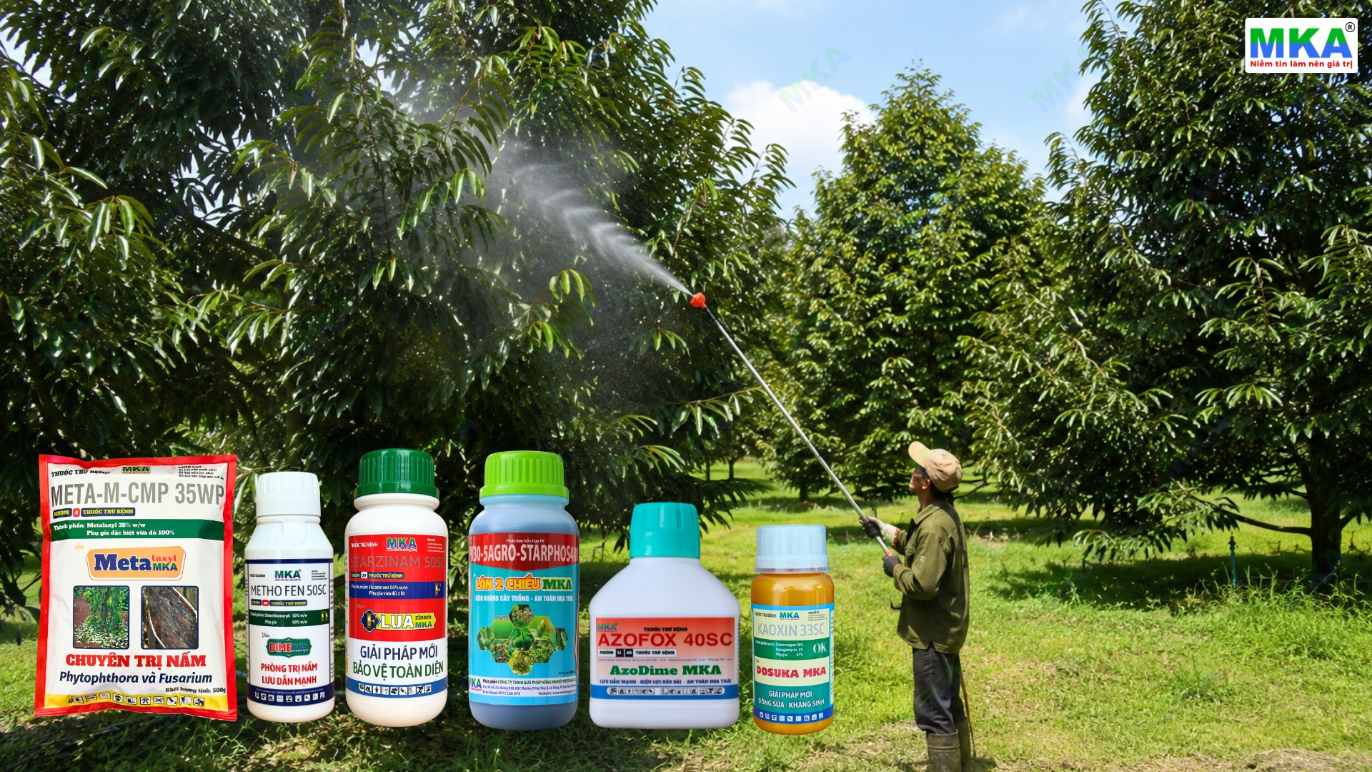 Chọn hoạt chất quản lý nấm phytophthora