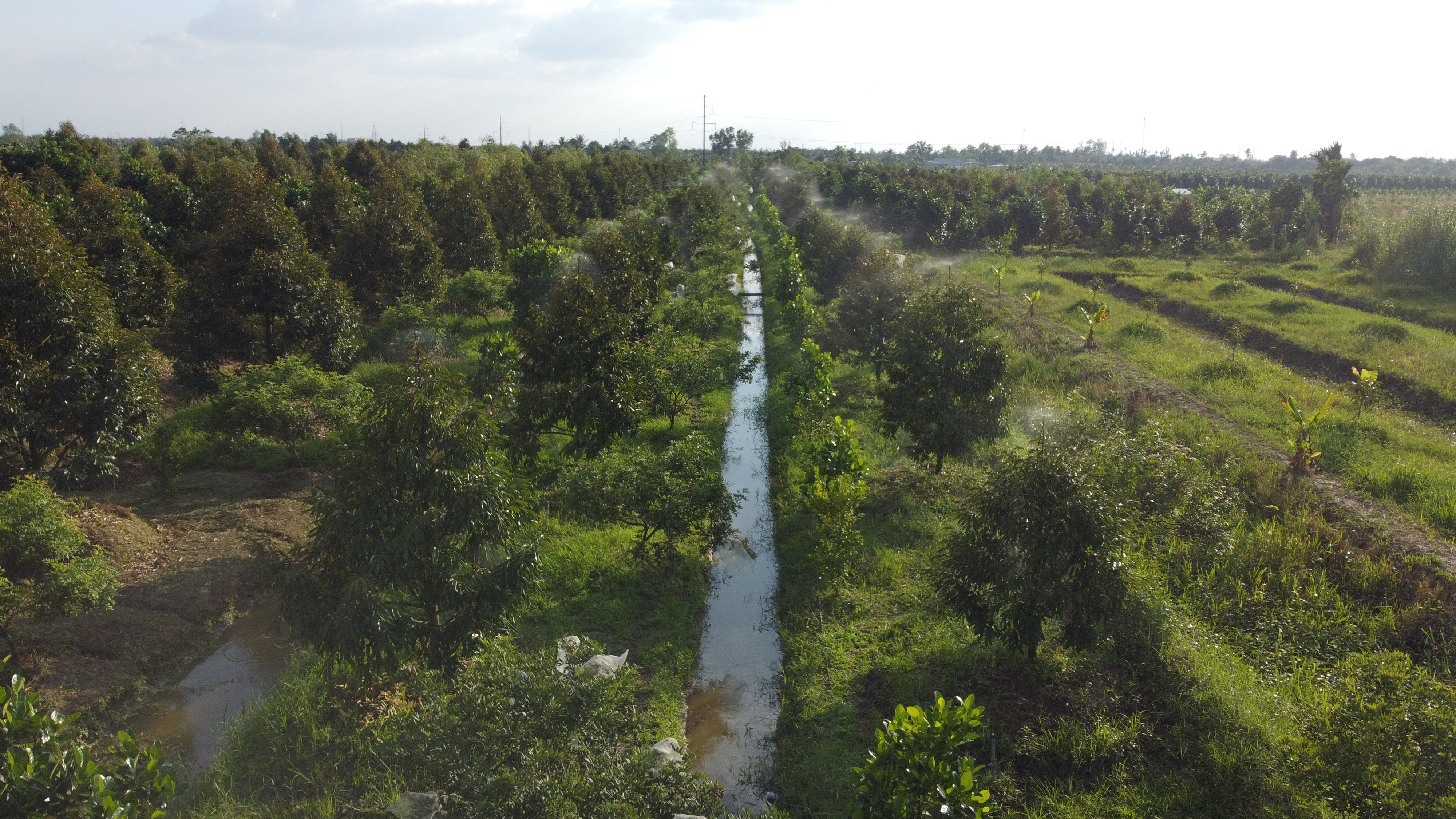 Lắp đặt hệ thống phun thuốc tự động