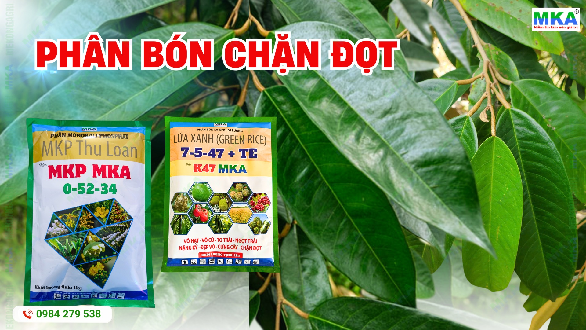 Phân bón chặn đọt MKP và Kali cao cho cây trồng