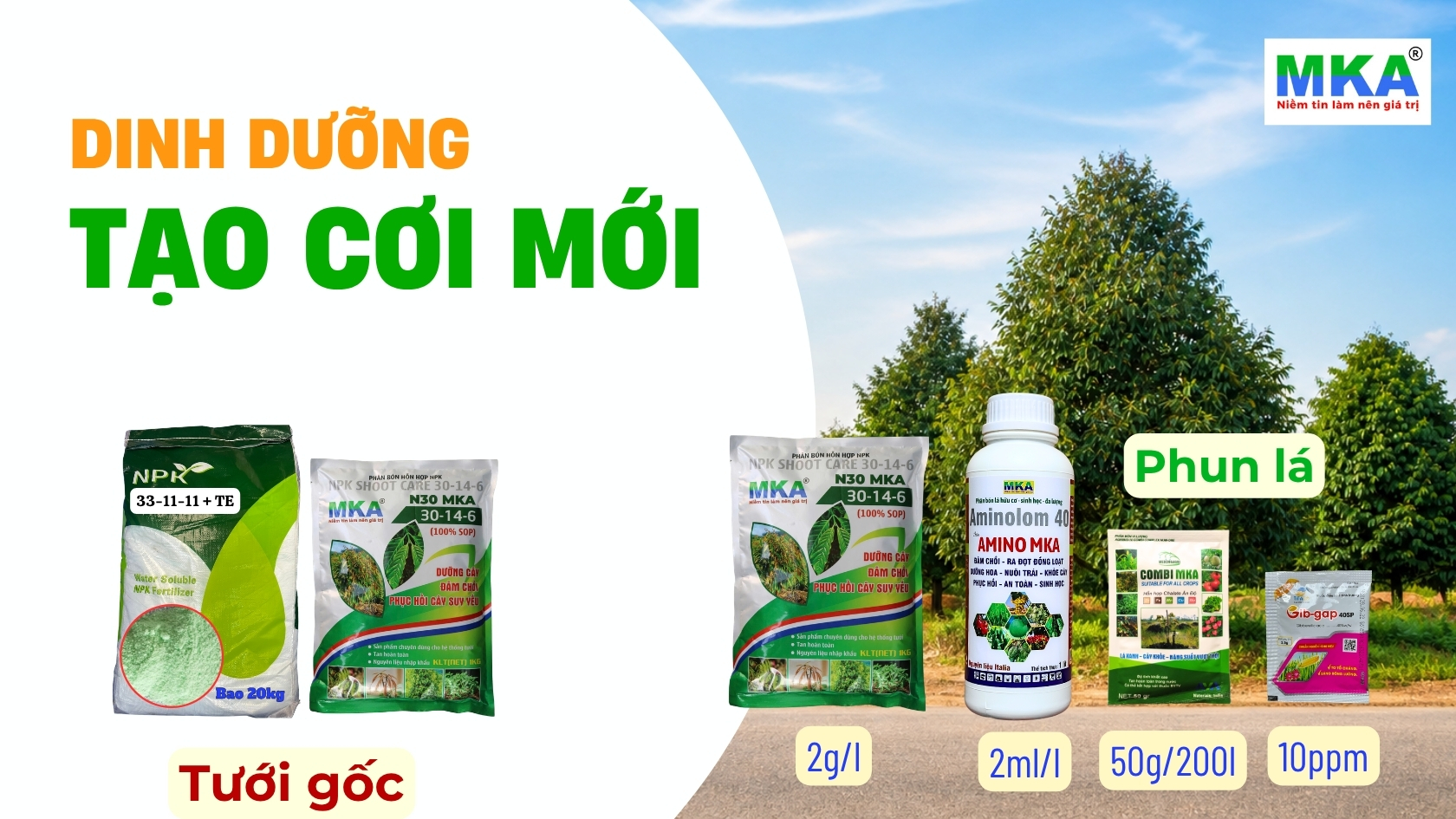 Phân bón nuôi cơi