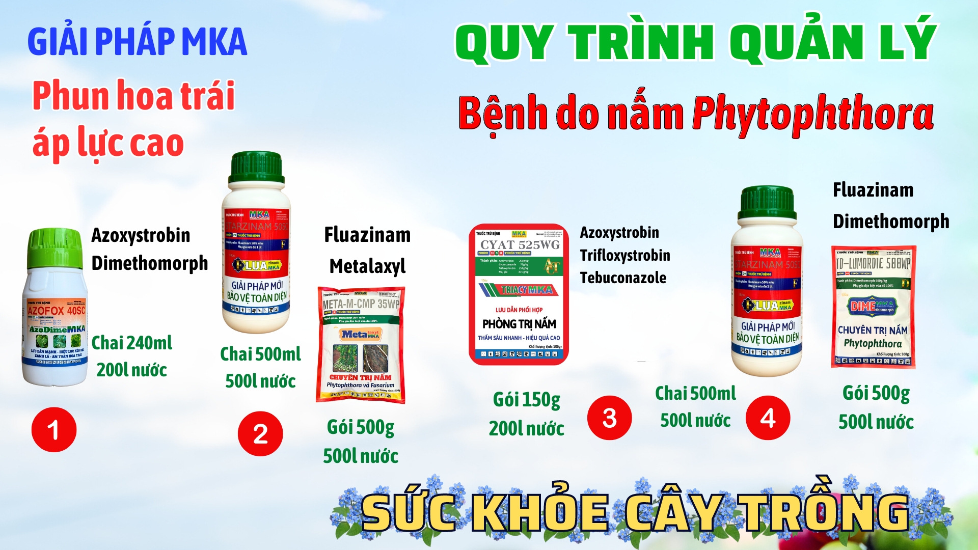 Flua MKA quy trình quản lý thối hoa thối trái