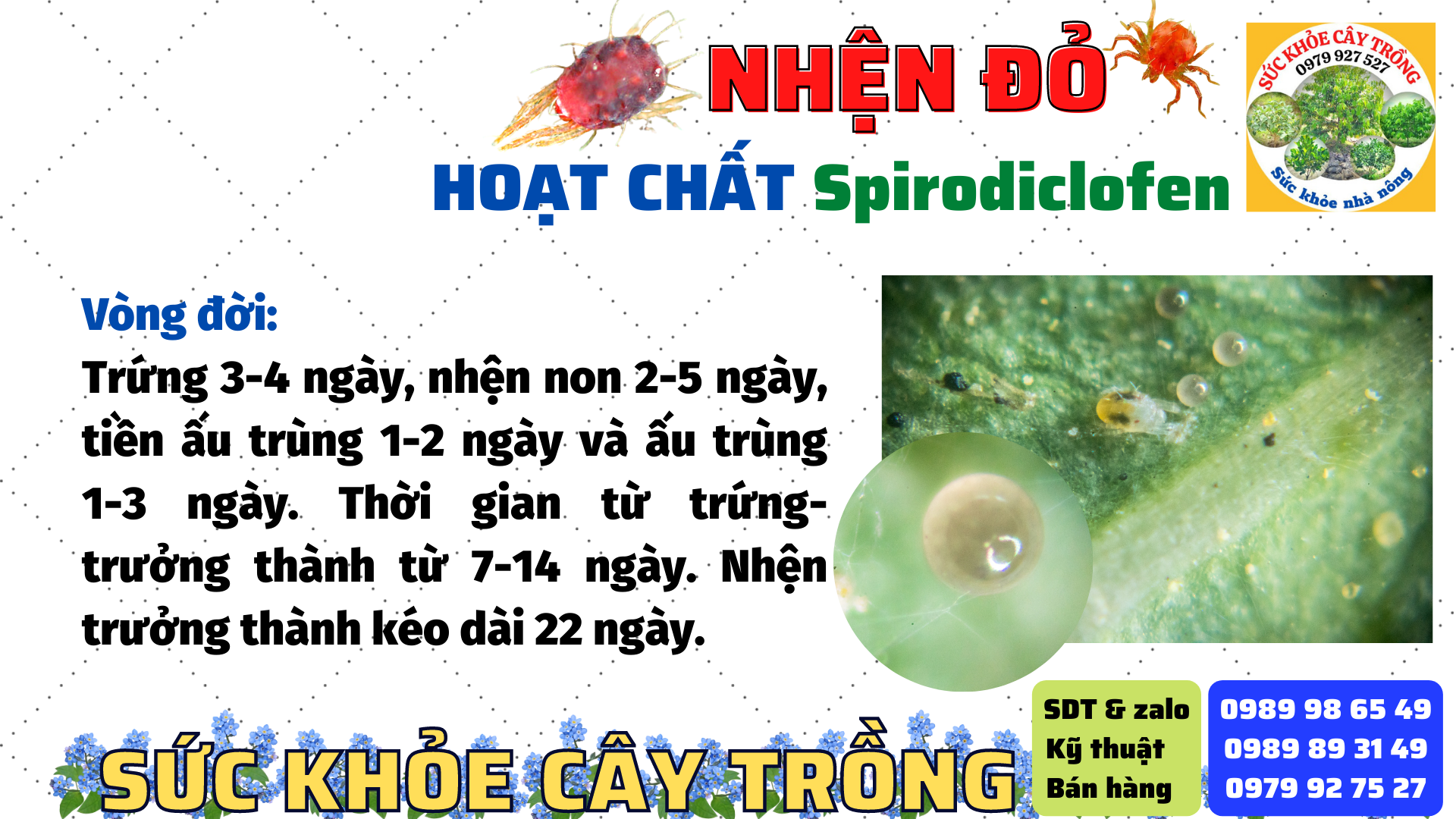 Các lý do ảnh hưởng sử dụng thuốc trừ sâu không hiệu quả