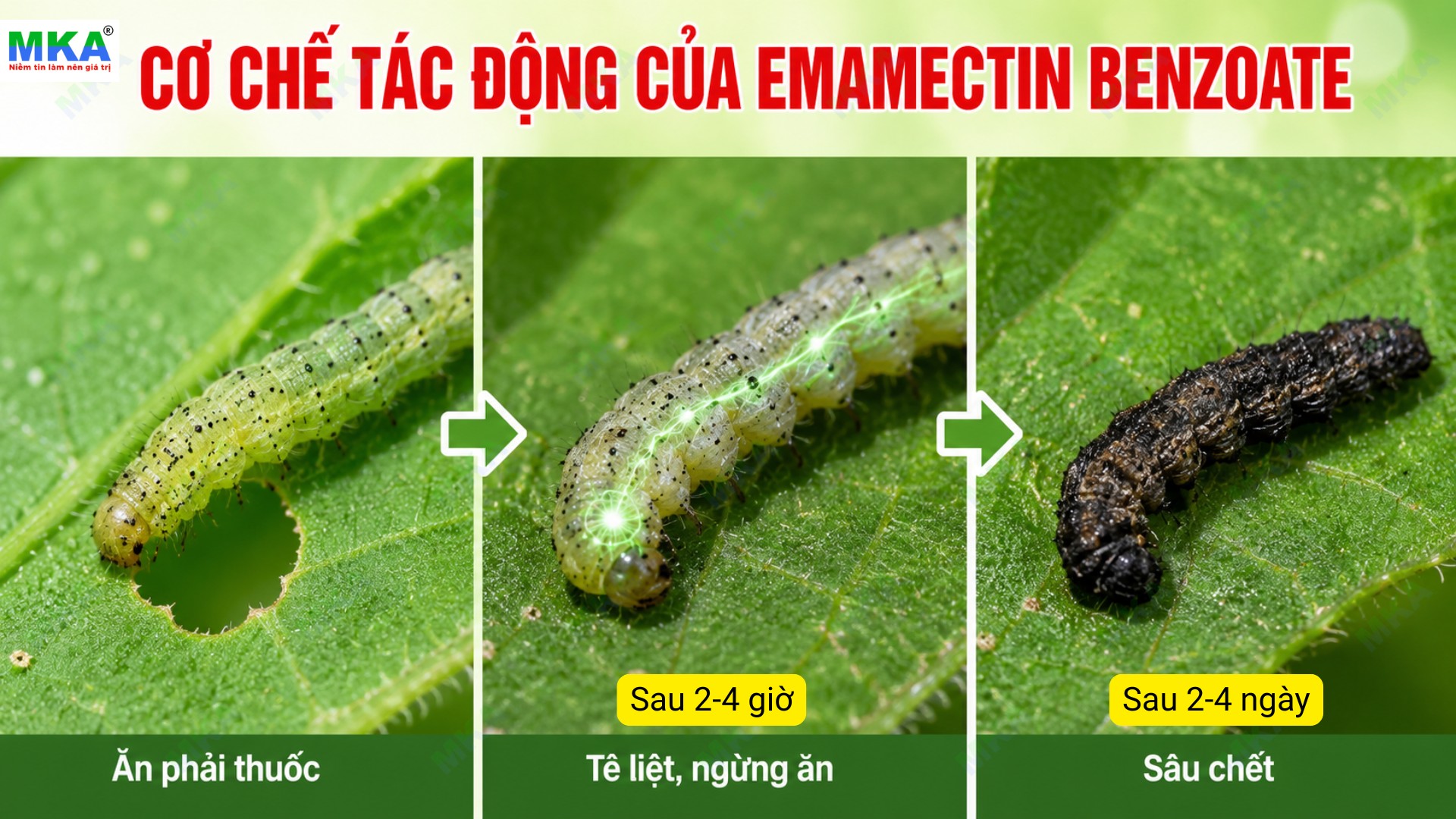 Cơ chế tác động của emamectin benzoate