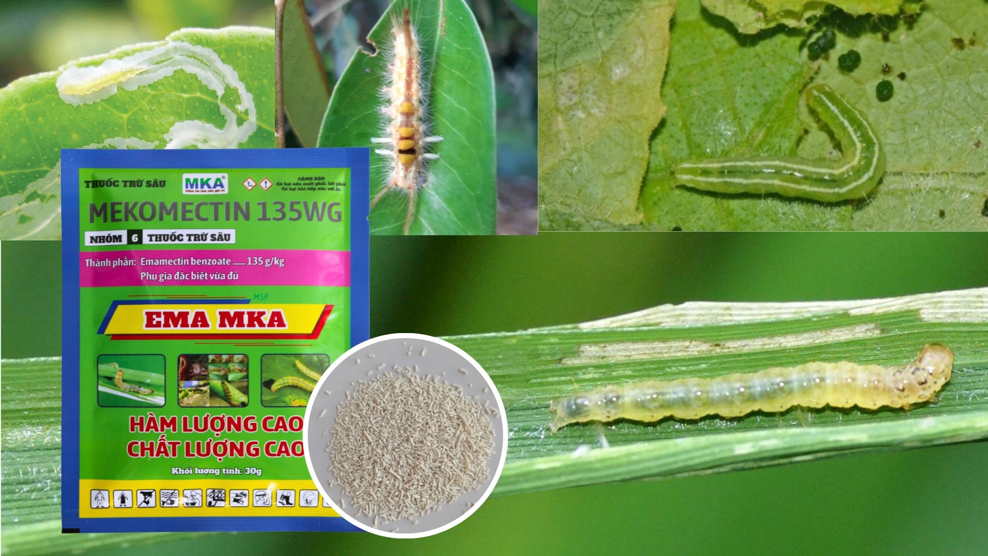 emamectin benzoate trị sâu gì
