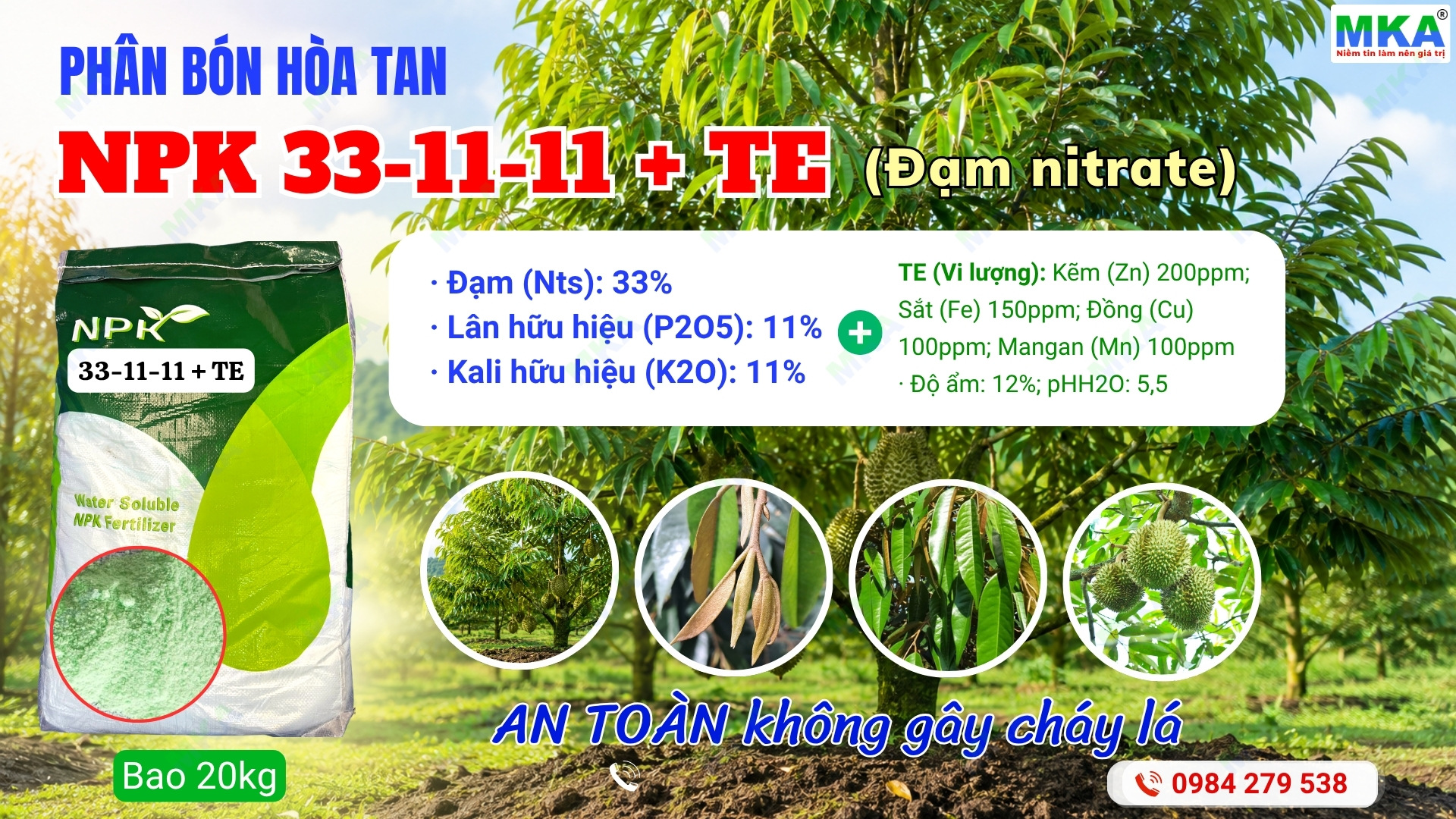 Phân bón NPK hòa tan 33-11-11 kéo đọt