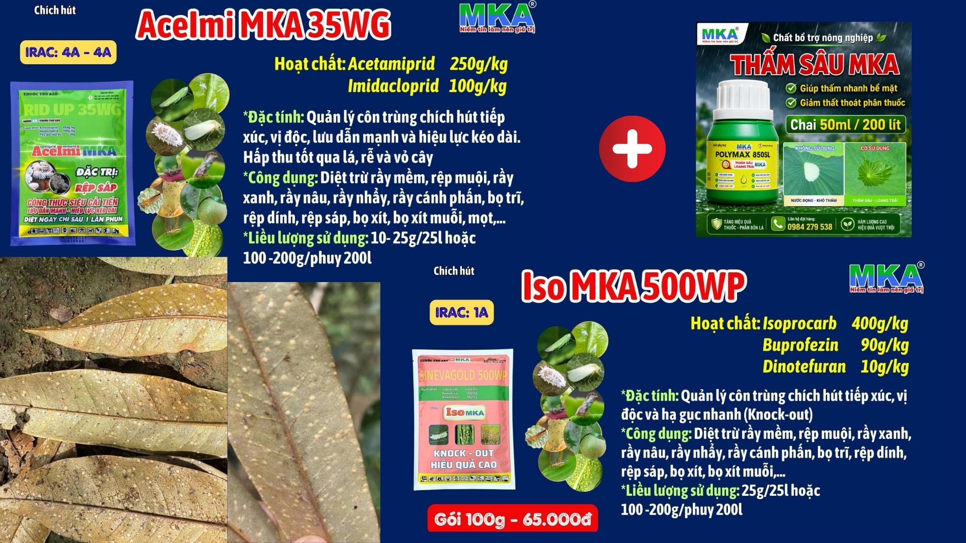 Thuốc trị rệp vảy trên sầu riêng