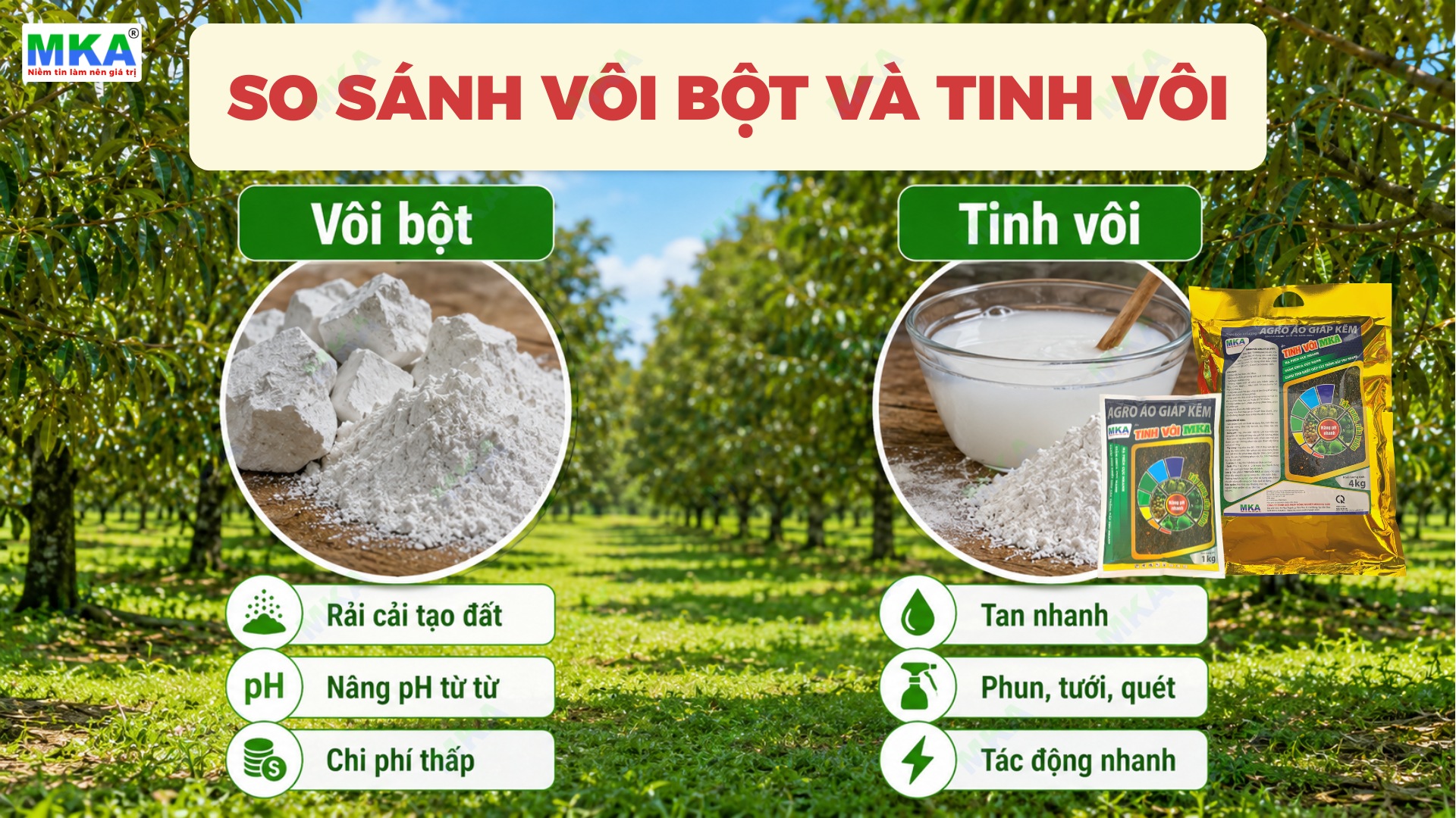 Vôi bột và tinh vôi khác nhau như thế nào
